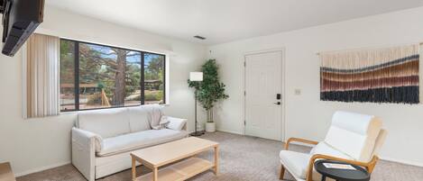 Smart TV, fireplace, books