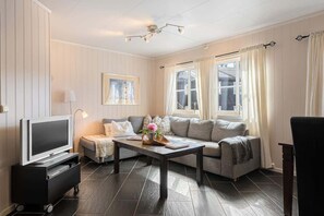 Fernseher, Kamin