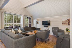 Fernseher, Kamin