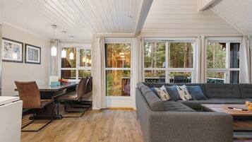 تلفزيون، مدفأة