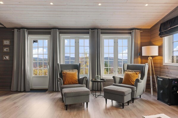 TV, fireplace, offices