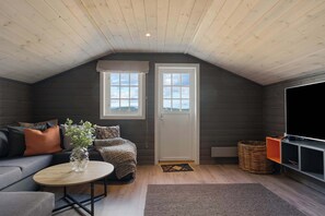 Télévision, cheminée, espaces bureaux