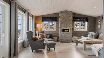 Télévision, cheminée, espaces bureaux