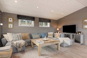 Fernseher, Kamin, Arbeitsbereiche