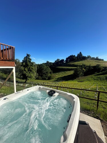 Serendipity Retreat - Vineyard! Private Hot Tub! Dogs Welcome!