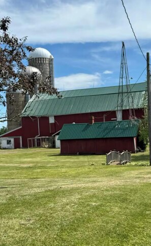 Property grounds - Back to the Old Farm (Ashland)