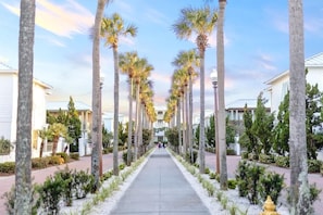 Un camino bordeado de palmeras y edificios, sugiriendo un entorno de resort o hotel.