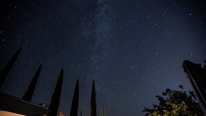 Céu noturno repleto de estrelas, com altas árvores de cipreste ao primeiro plano.