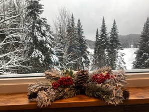 Property grounds - Large 6 Bedroom Waterfront Clean Lake Close to SKI Mont Blanc and Tremblant (Mont-Blanc)