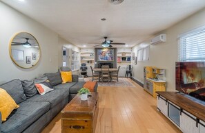 Télévision, cheminée, livres, chaîne hi-fi