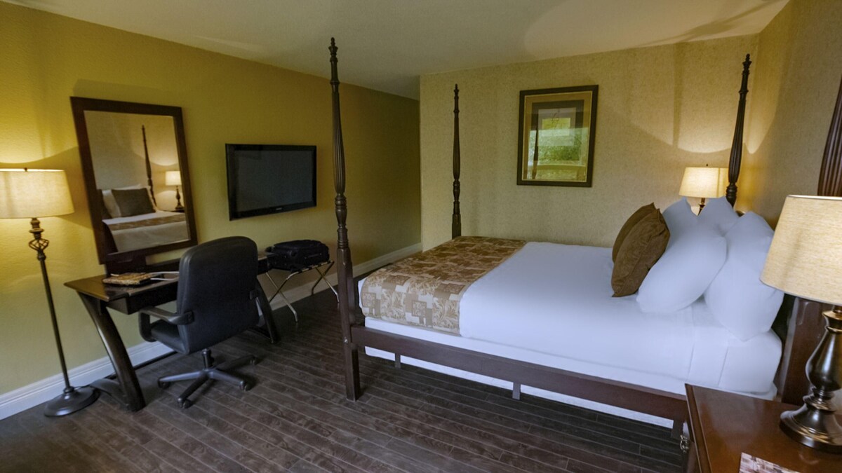 Image de profil de l’hôte