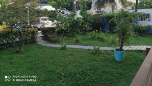 A residential garden with a pathway, palm trees, and a white car parked in the background.
