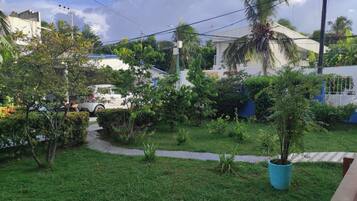 A residential garden with a pathway, palm trees, and a white car parked in the background.