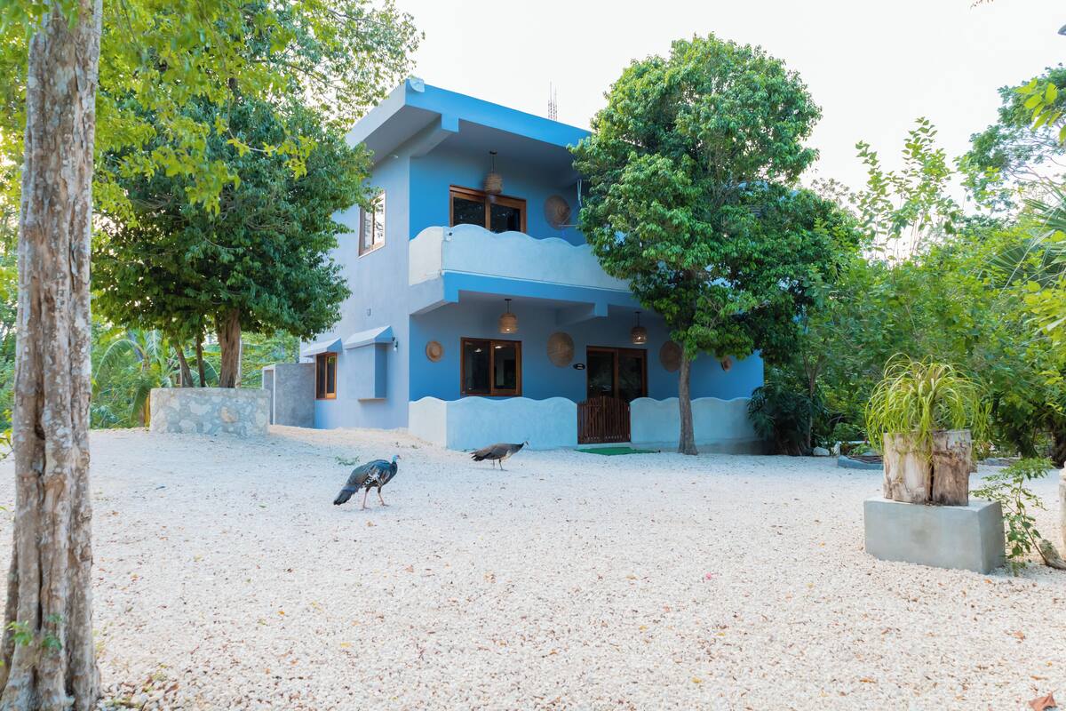 A two-story building with a blue exterior, surrounded by trees and a gravel ground.