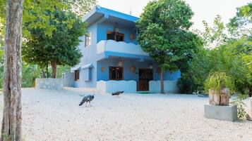 Departamento familiar, vista al patio | Wifi gratis