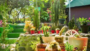 Exterior - Cabañas Green House (San Vito)