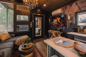 TV, fireplace, video games, books