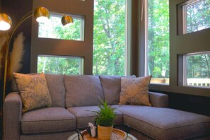 TV, fireplace, video games, books