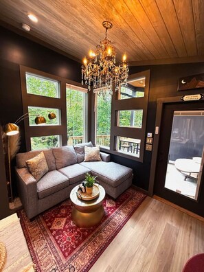 TV, fireplace, video games, books