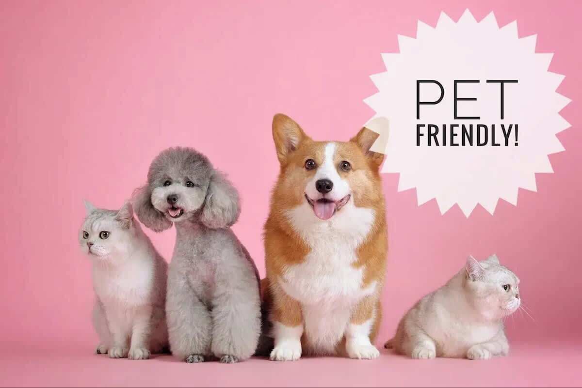 Pet-friendly
