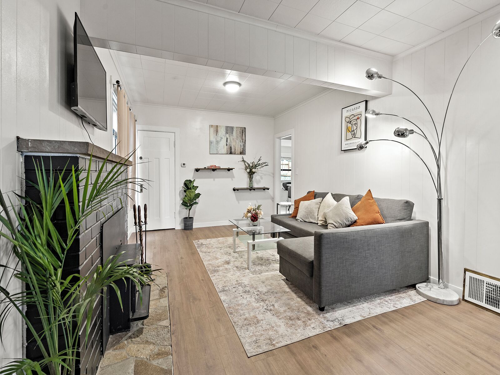 Smart TV, fireplace, books