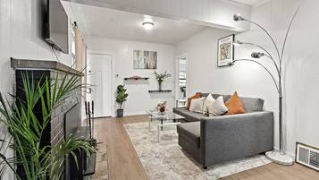 TV connectée, cheminée, livres