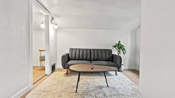 TV connectée, cheminée, livres