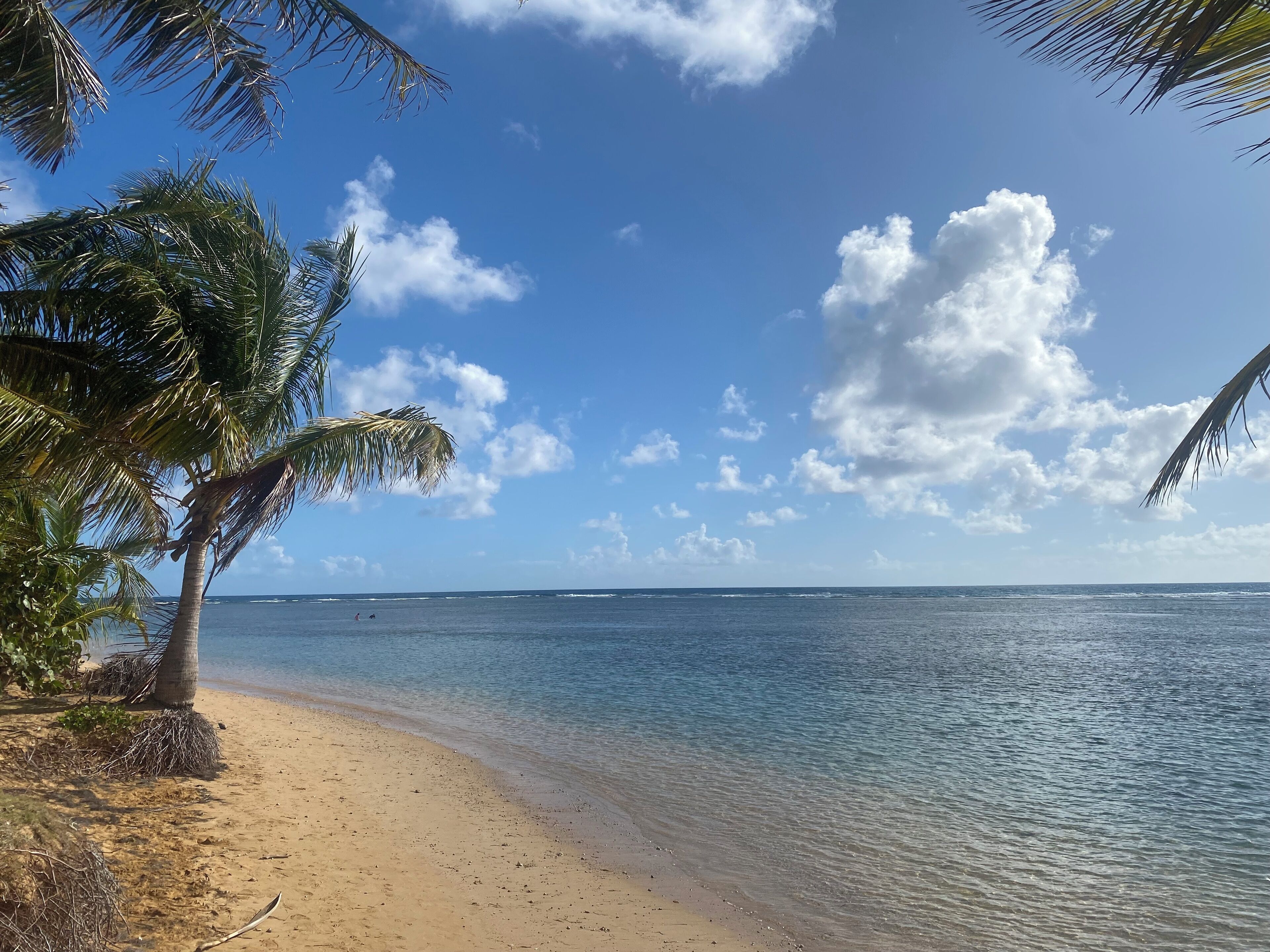 Beach nearby, sun loungers, beach towels