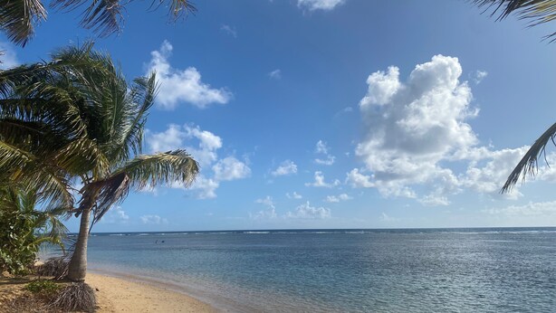 A beach with clear skies, calm water, and palm trees. - Your getaway space walking distance to the beach (Luquillo Luquillo)