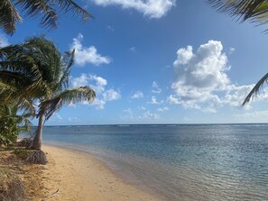 A beach with clear skies, calm water, and palm trees.