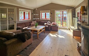 تلفزيون ذكي، مدفأة