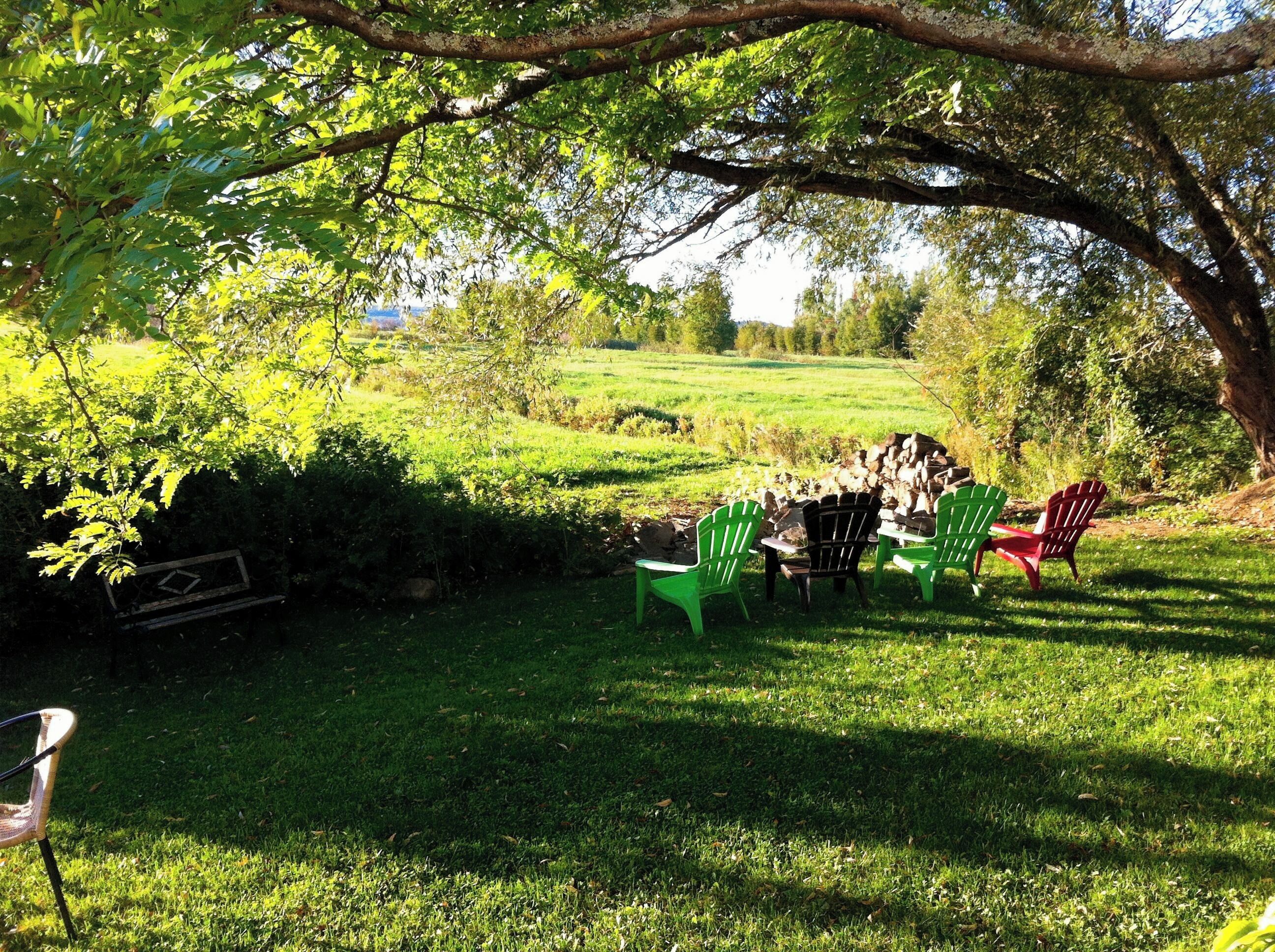 Overnattingsstedets uteområder