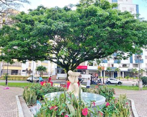 Área da propriedade