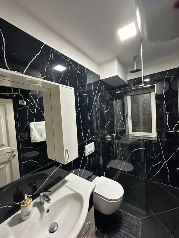 Hair dryer, bidet, towels, toilet paper