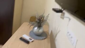 A small room with a wooden table, a chair, a vase with plants, a remote control, and a wall-mounted TV.