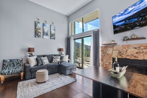 TV, fireplace