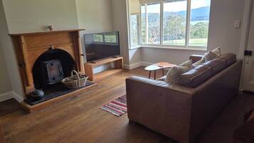 تلفزيون، مدفأة