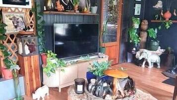 Televisión, chimenea