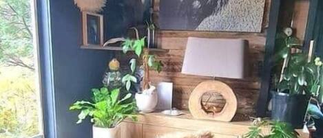 تلفزيون، مدفأة