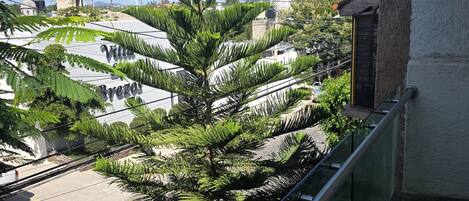 Àrea exterior de l'allotjament