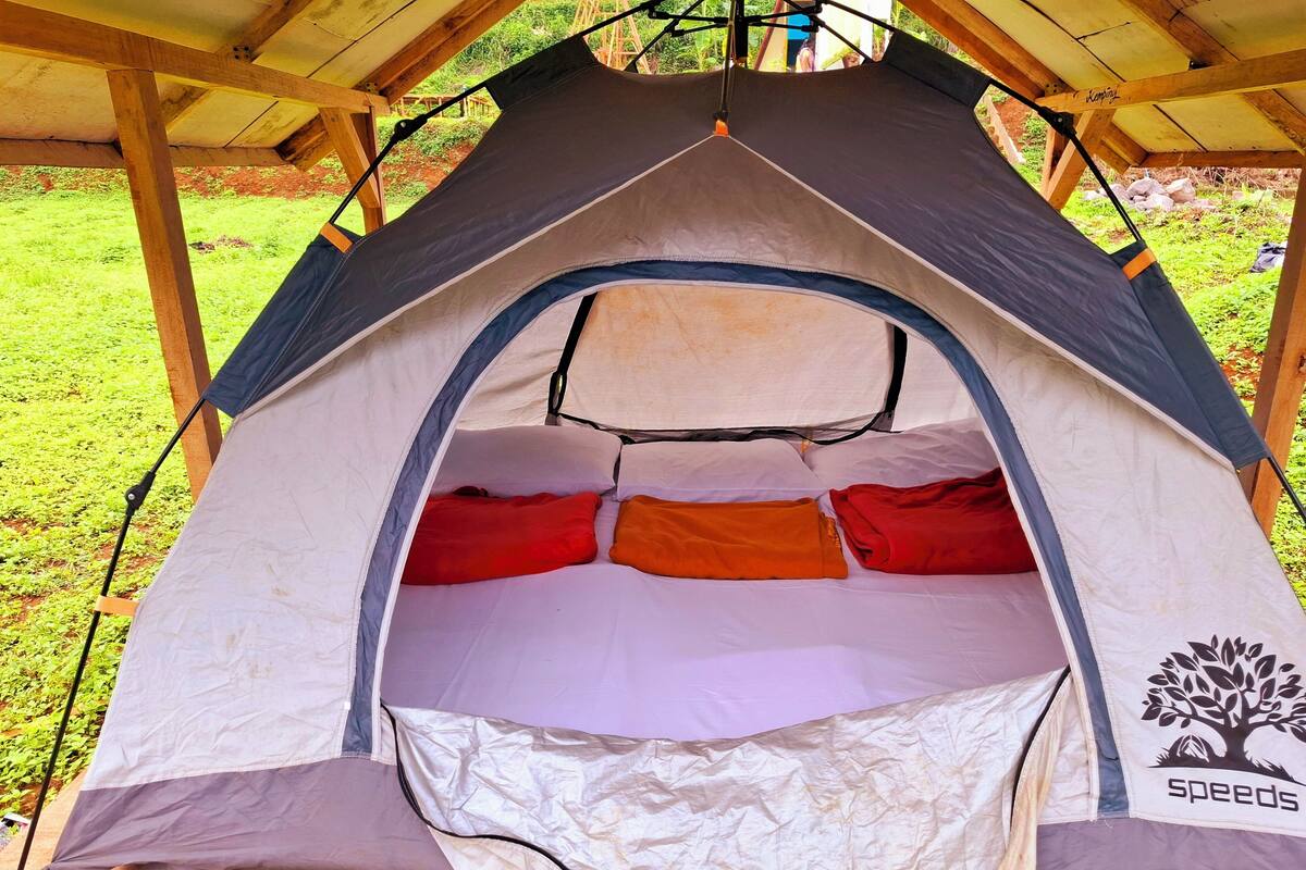 A tent with a sleeping area, a tree logo, and a "speeds" brand.