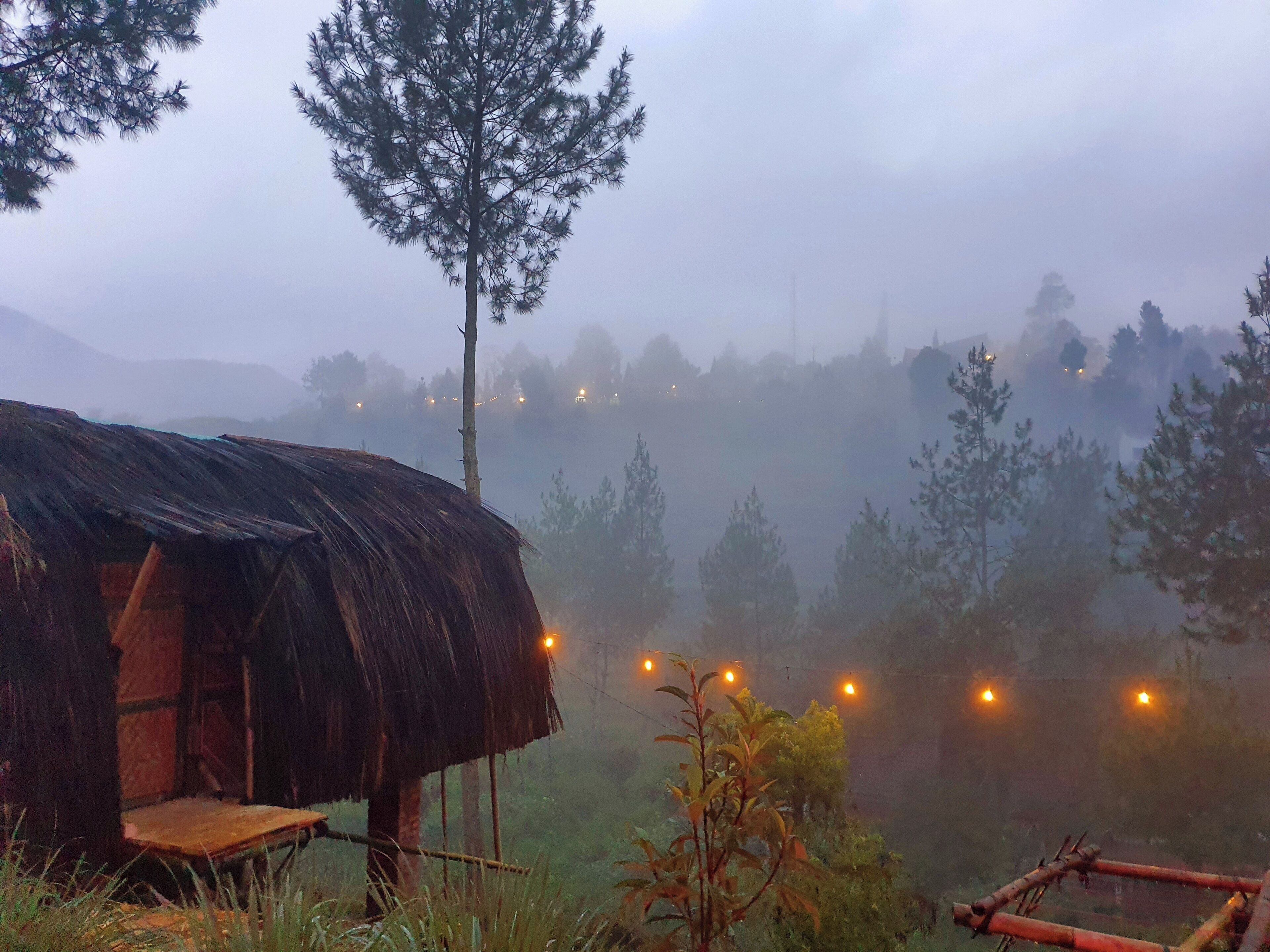 Une cabane rustique au toit de chaume, entourée d’une forêt brumeuse et illuminée par des lumières lointaines.