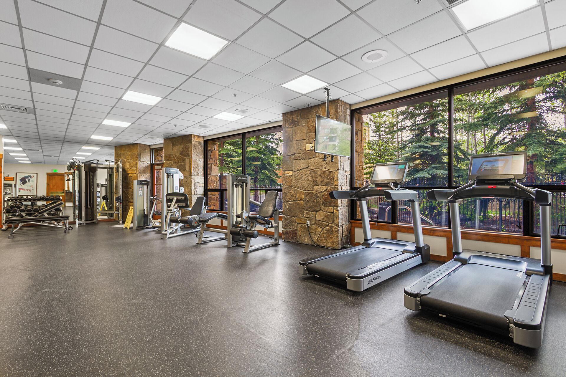 A gym with treadmills, weight machines, and a stone wall.