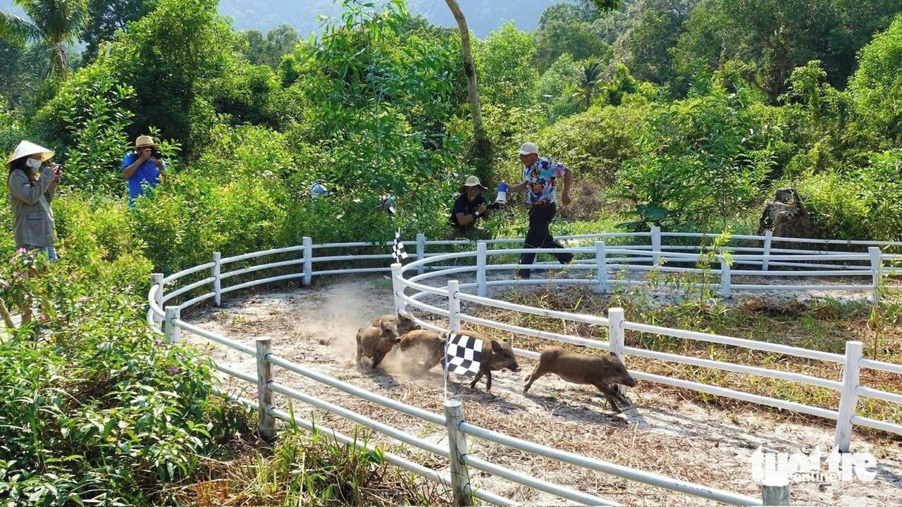 Observación de animales