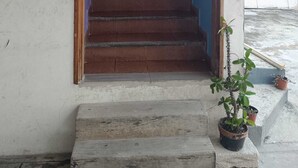 A staircase leading to a building entrance with a potted plant at the bottom. - Loft 103 Córdoba Downtown Parking (Córdoba)