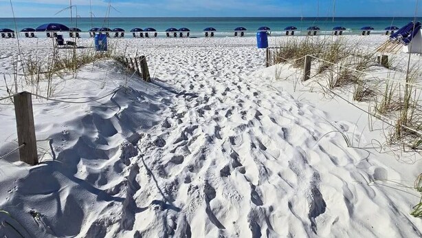 A sandy beach with footprints leading to the water, and several blue umbrellas lined up along the shore.
