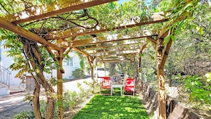 A garden with a wooden pergola, green grass, and a pathway.