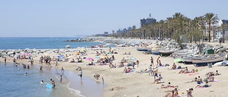 Playa