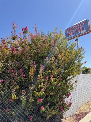 Fachada del alojamiento