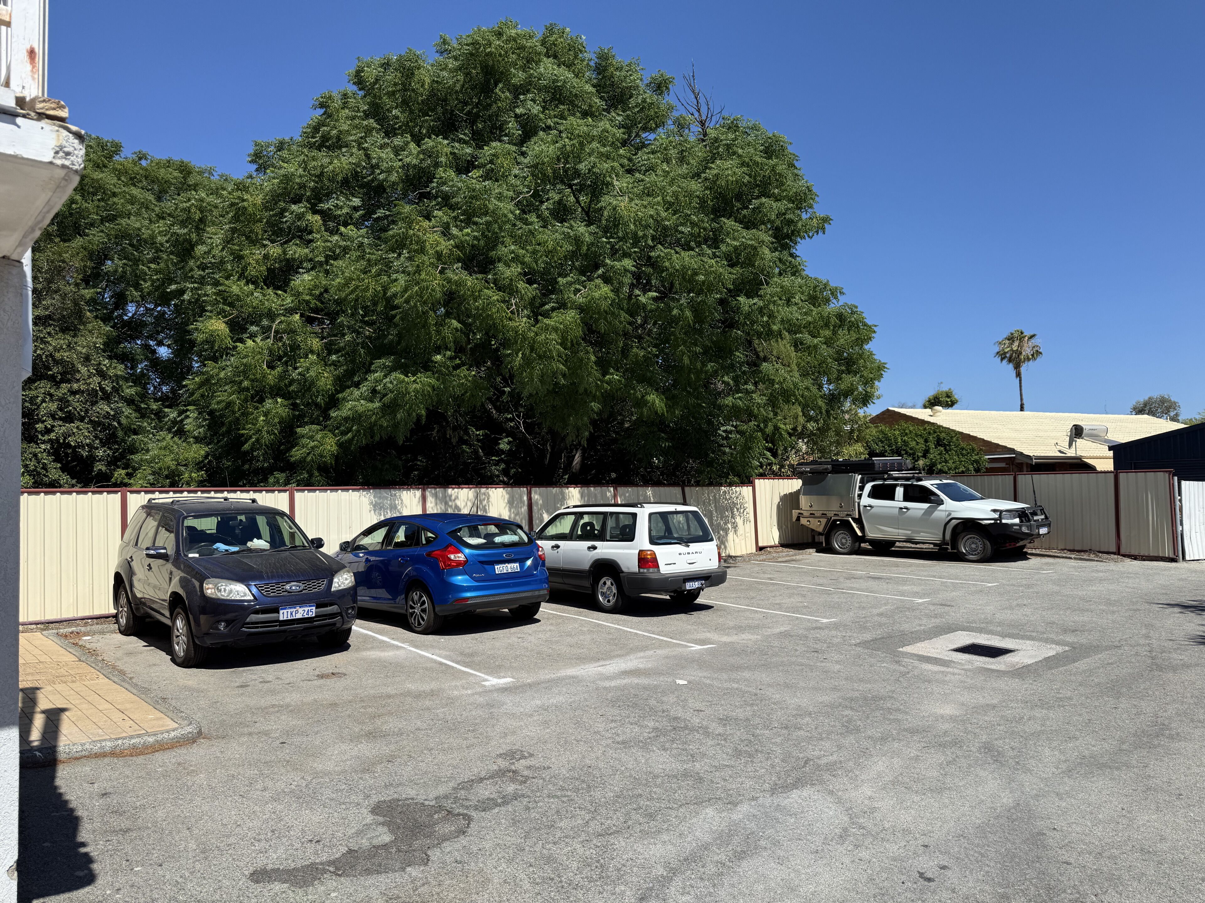 Ein Parkplatz mit mehreren Autos, darunter ein schwarzer SUV, ein blauer Wagen und ein weißer SUV.